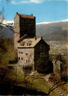 Burg Ehrenfels Bei Sils I/D. - Blick Gegen Thusis (5577) - Thusis