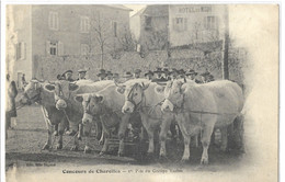 71   CHAROLLES   CONCOURS DE CHAROLLES  1e  PRIX  DU  GROUPE  VACHES - Charolles