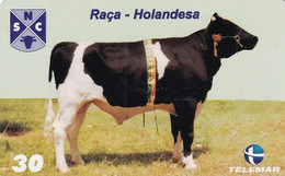 BRAZIL(Telemar) - Animal, 11/00, Used - Cows