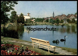 ÄLTERE POSTKARTE ST. INGBERT SAAR GUSTAV-CLAUSS-ANLAGE SAARLAND SCHWARZER SCHWAN Black Swan Ansichtskarte Cpa Postcard - Saarpfalz-Kreis