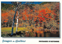 Canada Quebec Paysages D'automne HF - Québec - La Cité