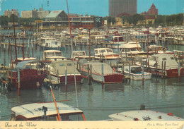 Postcard United States  MI - Michigan  Detroit Harbour - Detroit