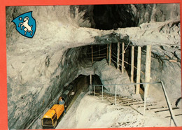 Vaqa-01 Bex Mines De Sel écusson Commune. Petit Train Sortant Du Tunnel Sceau 1981  GF - Bex