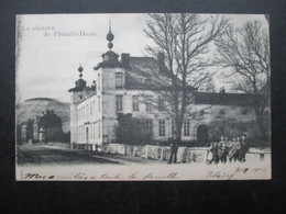 CP BELGIQUE (V2210) FLEMALLE HAUTE (2 Vues) Le Château - 1902 - Flémalle