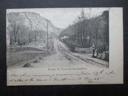 CP BELGIQUE (V2210) Route De NEUVILLE EN CONDROZ (2 Vues) Editeur Thiry Engis - 1902 - Neupre
