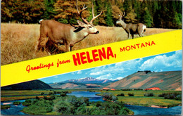 Montana Greetings From Helena Split View Montana Deer And Rivers - Helena