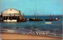 Massachusetts Cape Cod Gulls Boats And Town Wharf 1976 - Cape Cod
