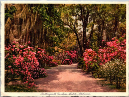 Alabama Mobile Scene In Bellingrath Gardens - Mobile