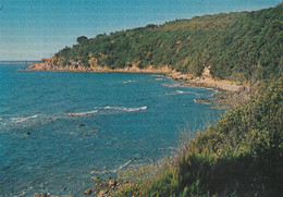 Delcampe - CARTOLINA  CALA VIOLINA-SCARLINO,GROSSETO,TOSCANA,MARE,SOLE,ESTATE,VACANZA,SPIAGGIA,BARCHE,BELLA ITALIA,VIAGGIATA 1986 - Grosseto