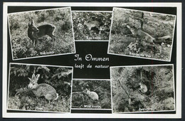 Speeltuin Eggengoor Nieuwe Brug , Ommen Leeft De Natuur 1957 -  USED 2 Scans For Condition.(Originalscan !!) - Ommen