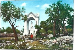 Portugal & Marcofilia, Aljustrel, Lugar Da Aparição De 19 De Agosto De 1917, Fatima A Lisboa 1973 (9799) - Beja