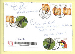 TIMBRES - STAMPS - LETTRE RECOMMANDÉ - MARCOPHILIE - PORTUGAL - TIMBRES EURO 2004 ET AUTO-ADHÉSIFS OISEUX - Storia Postale