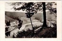 MEMBRE - Point De Vue Du Rêve - Edit. : Mme Liegeois "Hôtel Des Roches" - Tél. Vresse 51 - Vresse-sur-Semois