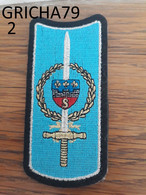 MILITAIRE - INSIGNE TISSU - ECOLE MILITAIRE DE SAUMUR - Ecussons Tissu