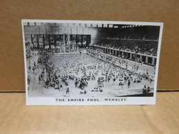 WEMBLEY (Angleterre) Piscine The Empire Pool Animation - Other & Unclassified