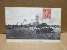 Threshing Wheat In KANSAS  Scène Agricole Tracteur Animations - Andere & Zonder Classificatie