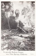 Andreas Canyon Near Palm Springs California, Stream Through Woods C1940s/50s Vintage Real Photo Postcard - Palm Springs