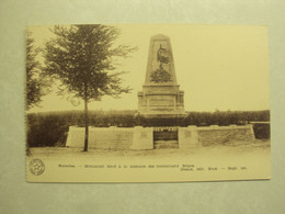 52295 - WATERLOO - MONUMENT ELEVE A LA MEMOIRE DES COMBATTANTS BELGES - ZIE 2 FOTO'S - Waterloo