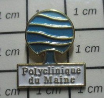 510A Pin's Pins / Beau Et Rare / MEDICAL / POLYCLINIQUE DU MAINE ARBRE BLEU - Médical