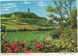 Scrabo Tower, Near Newtownards, Co. Down, N.I. - Northern-Ireland - (John Hinde Original Postcard) - Down