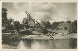 Hamburg - Stellingen - Carl Hagenbeck S Tierpark - Gesamt Panorana - Foto-Ansichtskarte - Stellingen