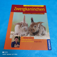 Angela Beck - Zwergkaninchen - Animals