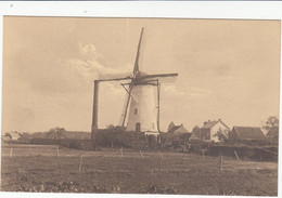 Eeckeren  Ekeren  Antwerpen   De Verdwenen Windmolen Van 't Hagelkruis MOULIN  MOLEN - Antwerpen