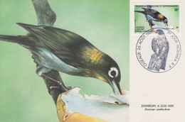 Carte  Maximum  1er  Jour   NOUVELLE  CALEDONIE   Oiseau  :  Zostérops  à  Dos  Vert   1987 - Maximumkaarten