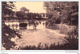 * 2.48 GAASBEEK - Kasteel Gaesbeek Château - De Grote Vijver Gezegd "de Kromme Vijver" - Lennik