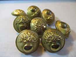 8 Boutons D'uniforme /Avec Grenade /Origine à Déterminer/Maurice Bourdon  Paris /Vers 1920-1940     BOUT144 - Buttons