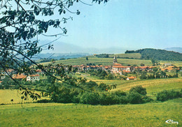 AINHOA - Vue Générale Du Village - Ainhoa