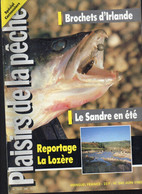 PLAISIRS DE LA PECHE N 240  JUIN   1985 REVUE DES PECHEURS EN TRES BON ETAT POSSIBILITE DE  GROUPER LIVRE ANCIEN  ETC - Chasse & Pêche