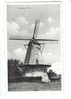 8. Boechout   Molen - Boechout