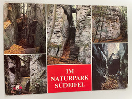 CPM - Naturpark Südeifel - Im Deutsch-Luxemburgischen Naturpark - Felsenschlucht Bei Ernzen - Eifelkreis Bitburg-Prüm - Bitburg