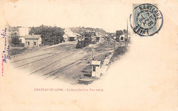 Château Du Loir         72       La Gare . Arrivée D'un Train    -  1  -          (voir Scan) - Chateau Du Loir