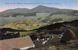 Ferme Auberge Métairie-GRAND-BALLON-Grossen Belchen Belchenhütte-Melkerei-Freundstein-Vogesen-68-Haut-Rhin - Andere & Zonder Classificatie