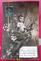 Carte Postale Fantaisie. 1er Avril Poisson Poissons. Bébé Dan S Un Nid - 1er Avril - Poisson D'avril