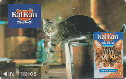 Télécarte JAPON / 110-011 - ANIMAL - CHAT ** KALKAN ** - CAT Japan Phonecard - KATZE  GATTO  GATO - 603 - Katten