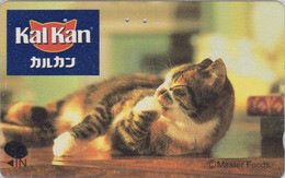 Télécarte Japon / 110-016 - ANIMAL - CHAT ** KALKAN ** - CAT Japan Phonecard - KATZE  GATTO  GATO - KAT 604 - Katten