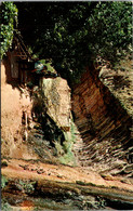 Utah Zion National Park Weeping Rock - Zion