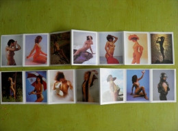 2 Calendars Calendar From Poland 1989 Woman Erotic - Grand Format : 1981-90