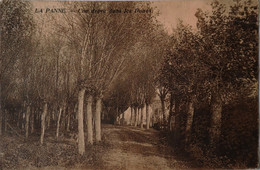 De - La Panne / Une Dreve Dans Les Dunes 1906 - De Panne