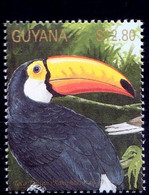 Common Toucan, Giant Toucan, Toco Toucan, Birds, Guyana 1990 MNH - Koekoeken En Toerako's