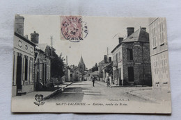 Cpa 1905, Saint Valérien, Entrée Route De Sens, Yonne 89 - Saint Valerien