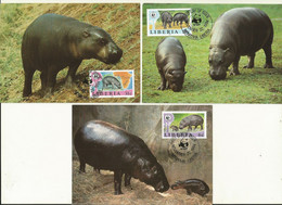 LOT 3 CARTES WWF LIBERIA HIPPOPOTAMES. - Cartoline Maximum