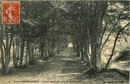 Châteauneuf En Thymerais * La Forêt * L'allée Des Soupirs Prise Du Rond Point - Autres & Non Classés