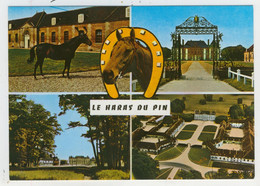 61 - Exmes - Le Haras Du Pin  -  Multivues - Exmes