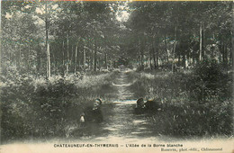 Châteauneuf En Thymerais * L'allée De La Borne Blanche * Villageois - Autres & Non Classés