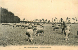 Chailly En Bière * Les Moutons En Plaine * Berger Métier - Sonstige & Ohne Zuordnung