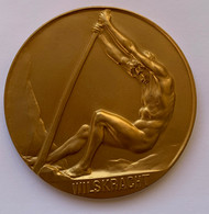 Médaille. Wilskracht. Ministerie Nationale Opvoeding. Prijs Regering 1967-1968. Leerling Koninklijk Lyceum Brussel 2 - Professionali / Di Società